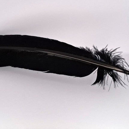 Feather Smudging Black