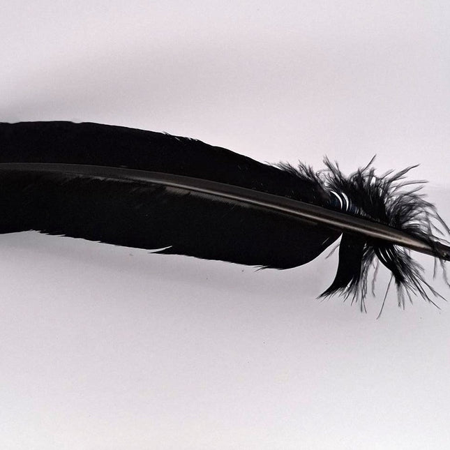 Feather Smudging Black
