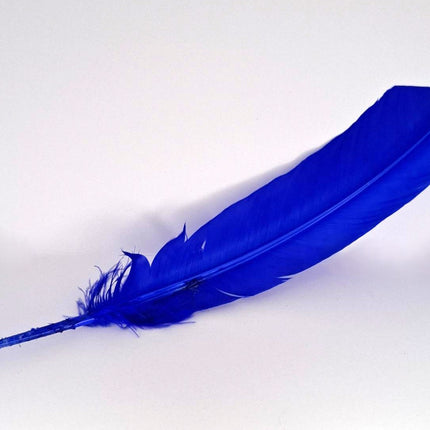 Feather Smudging Blue