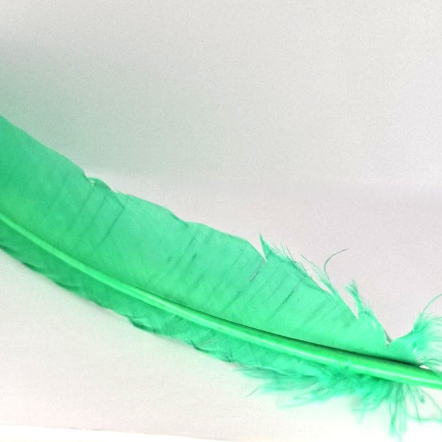 Feather Smudging Green