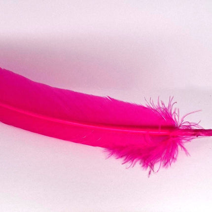 Feather Smudging Pink