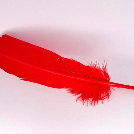 Feather Smudging Red