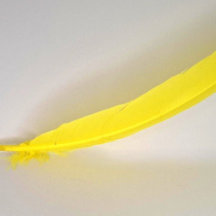 Feather Smudging Yellow