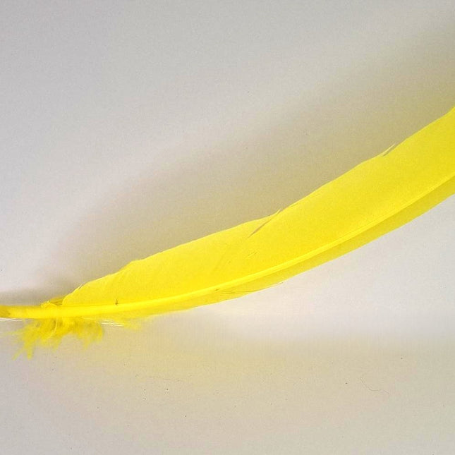 Feather Smudging Yellow