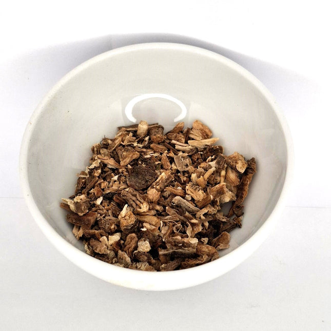 Herb Angelica Root
