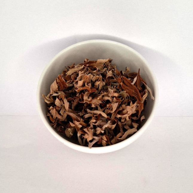 Herb Mugwort