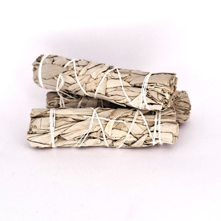 White Sage Smudge Stick Mini