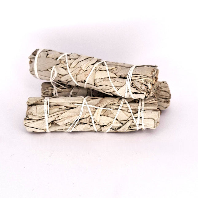 White Sage Smudge Stick Mini